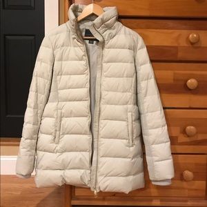 Winter Jacket